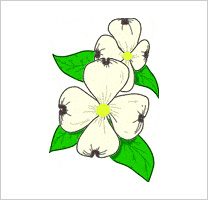 free-floral-clipart-1