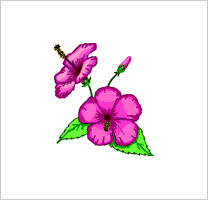 free-floral-clipart-3