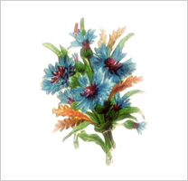 free-floral-clipart-6
